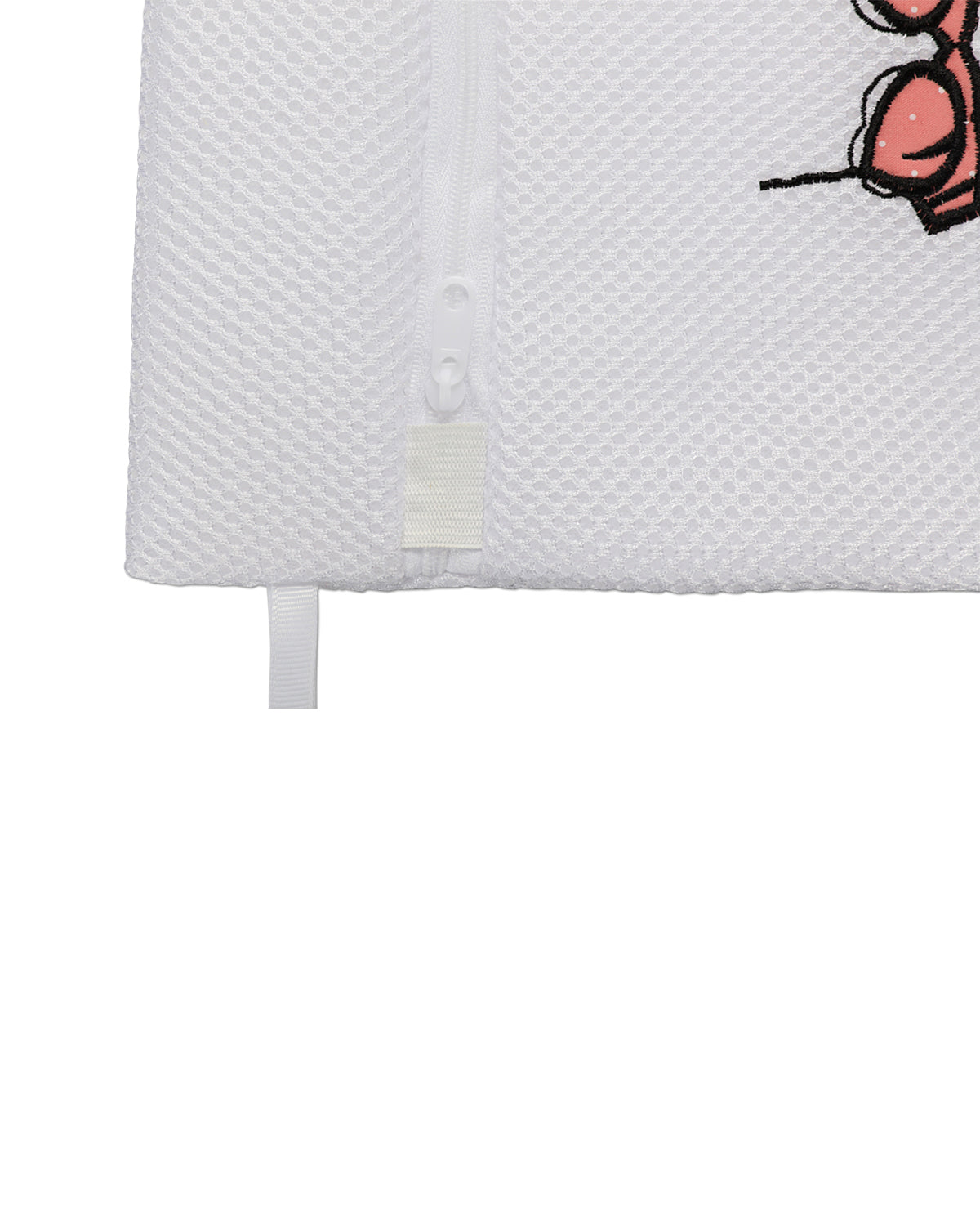 Lingerie Embroidered Mesh Wash Bag